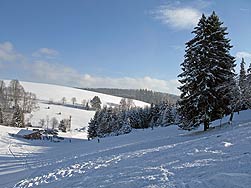 Winterwandern in Tennenbronn