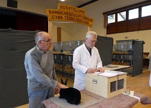 Kreiskaninchenschau in Tennenbronn