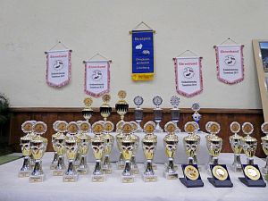 Kreiskaninchenschau in Tennenbronn