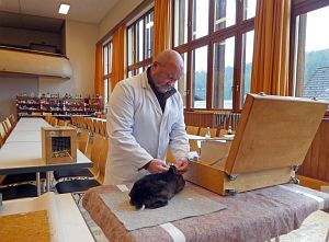 Kreiskaninchenschau in Tennenbronn
