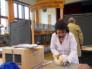 Kreiskaninchenschau in Tennenbronn