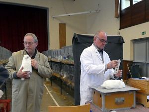 Kreiskaninchenschau in Tennenbronn