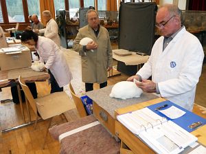 Kreiskaninchenschau in Tennenbronn