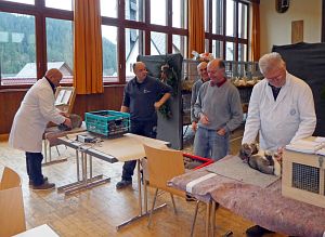 Kreiskaninchenschau in Tennenbronn