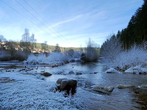 Rauhreif in Tennenbronn