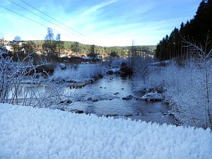 Rauhreif in Tennenbronn
