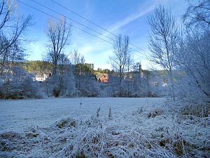 Rauhreif in Tennenbronn