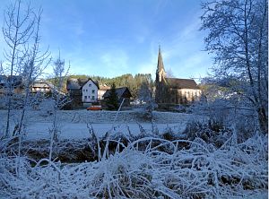 Rauhreif in Tennenbronn