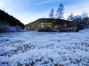 Rauhreif in Tennenbronn