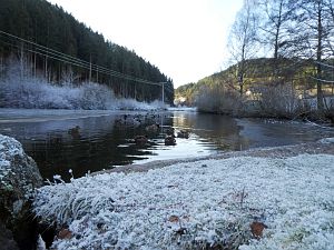 Rauhreif in Tennenbronn