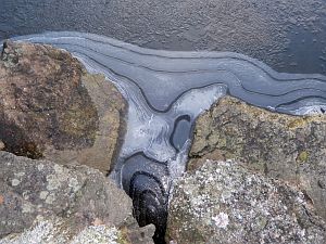 Rauhreif in Tennenbronn