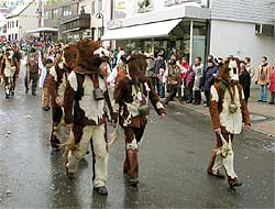 Fasnet Umzug 2005