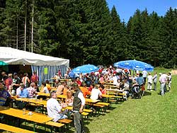Waldfest WLS 2005