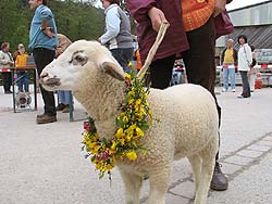 Waldfest Unterschiltach 2006