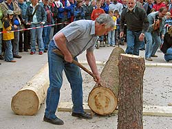Waldfest Unterschiltach 2006
