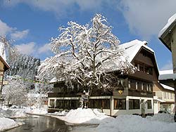 Winter im Mrz 2006
