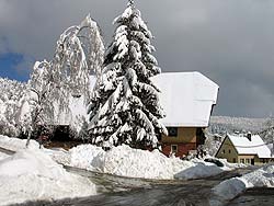 Winter im Mrz 2006