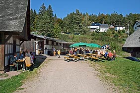 Akkordeon Knpfle- und Weinfest 2007