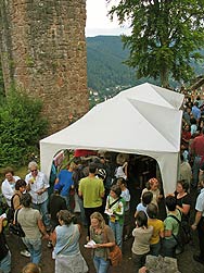 Burgkrimi 2007