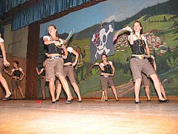 Das Programm in der Festhalle