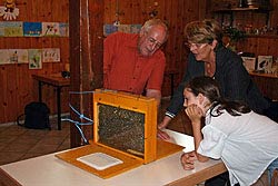 100 Jahre Bienenzuchtverein Tennenbronn