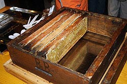 100 Jahre Bienenzuchtverein Tennenbronn