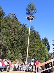 Waldfest Brgervereinigung Eichbach
