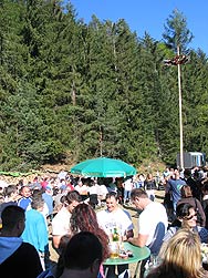 Waldfest Brgervereinigung Eichbach