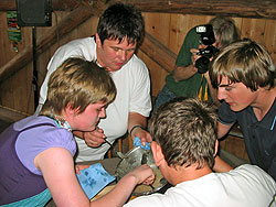 Waldfest RPPR 2007