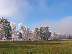 Weihnachten und Silvester 2006