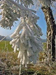 Weihnachten und Silvester 2006
