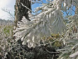 Weihnachten und Silvester 2006