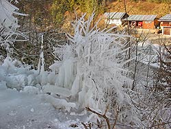 Weihnachten 2007 in Tennenbronn