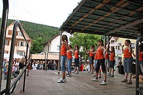 Dorffest 2008