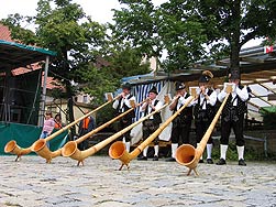 Dorffest 2008