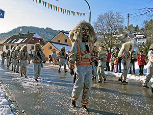 Fasnetsumzug 2008 in Tennenbronn