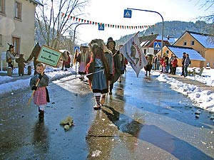 Fasnetsumzug 2008 in Tennenbronn