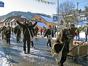 Fasnetsumzug 2008 in Tennenbronn