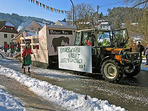 Fasnetsumzug 2008 in Tennenbronn