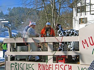 Fasnetsumzug 2008 in Tennenbronn