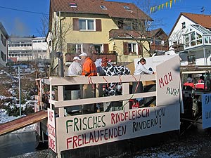 Fasnetsumzug 2008 in Tennenbronn