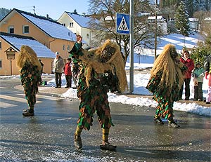 Fasnetsumzug 2008 in Tennenbronn
