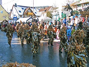 Fasnetsumzug 2008 in Tennenbronn
