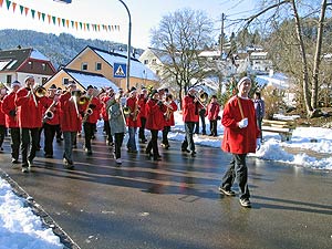 Fasnetsumzug 2008 in Tennenbronn