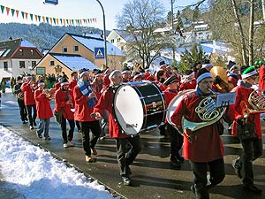 Fasnetsumzug 2008 in Tennenbronn