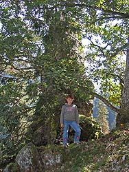 Herbst im Bernecktal