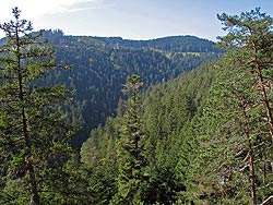 Herbst im Bernecktal