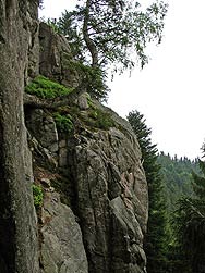 Herbst im Bernecktal