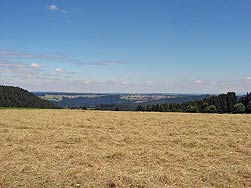 Heuernte 2008 in Tennenbronn