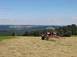 Heuernte 2008 in Tennenbronn